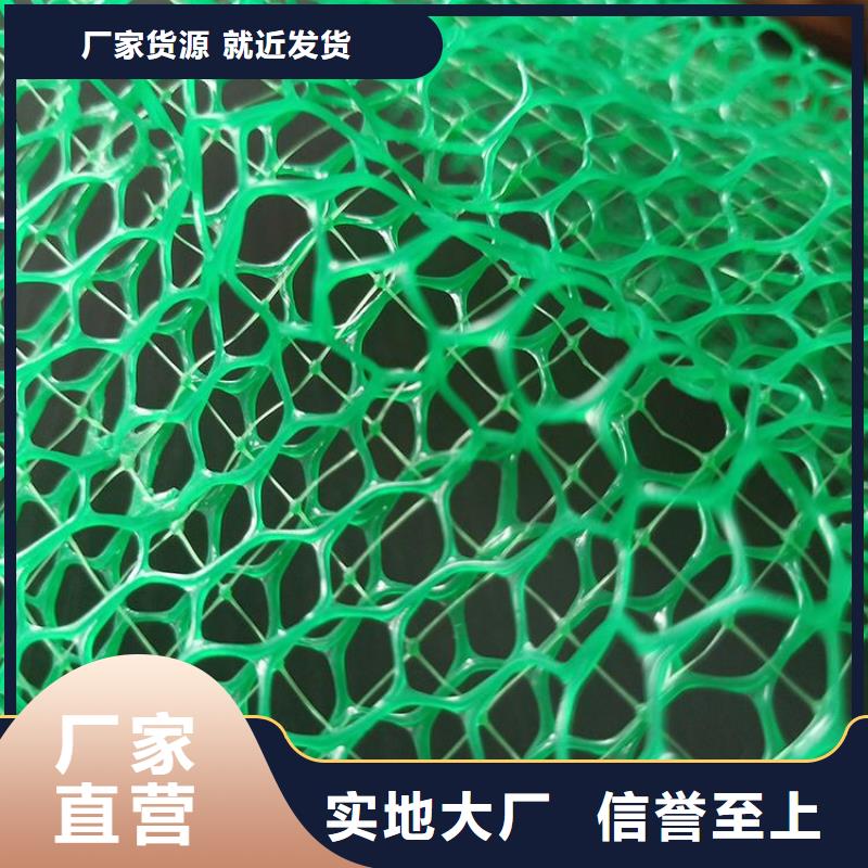 三维土工网垫代理/哪里有卖的