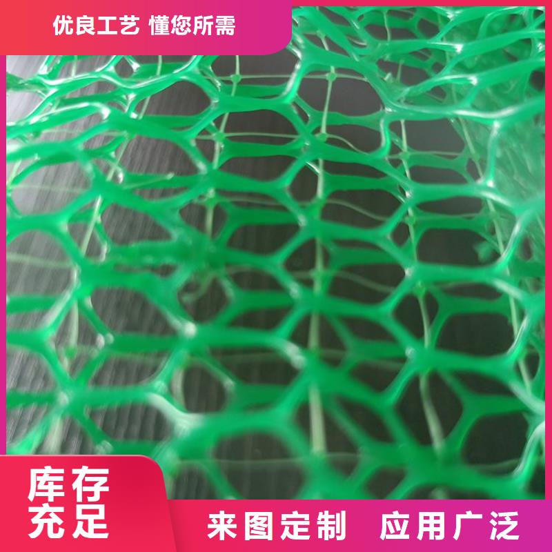 三维土工网垫代理/哪里有卖的