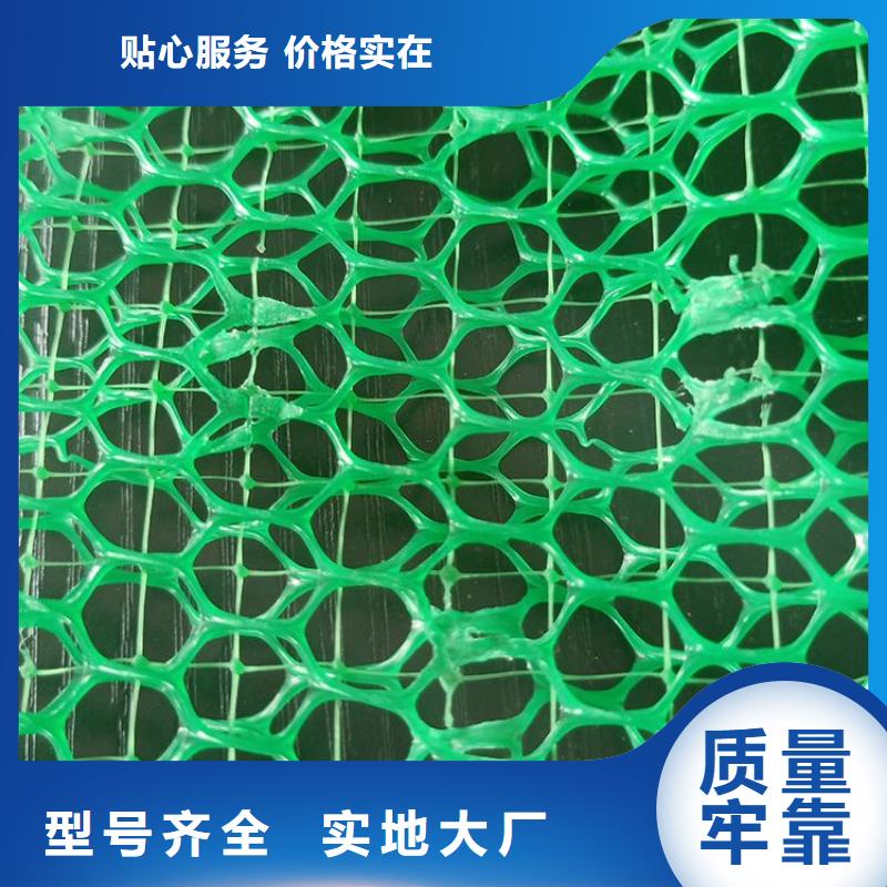 三维加筋植草网垫代理/哪里有卖的