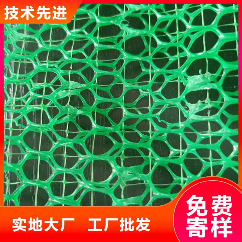 三维固土网垫当地市场