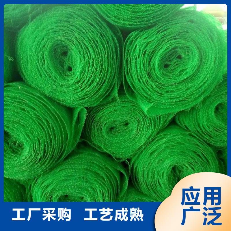 三维加筋植草网垫多少钱