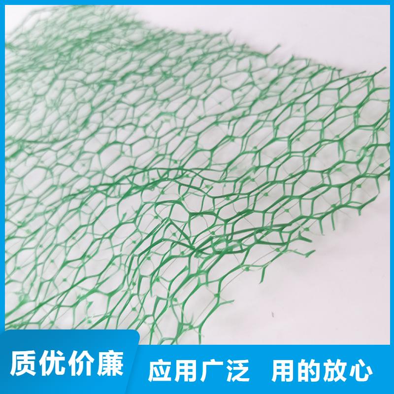 三维植被网HDPE土工膜重信誉厂家