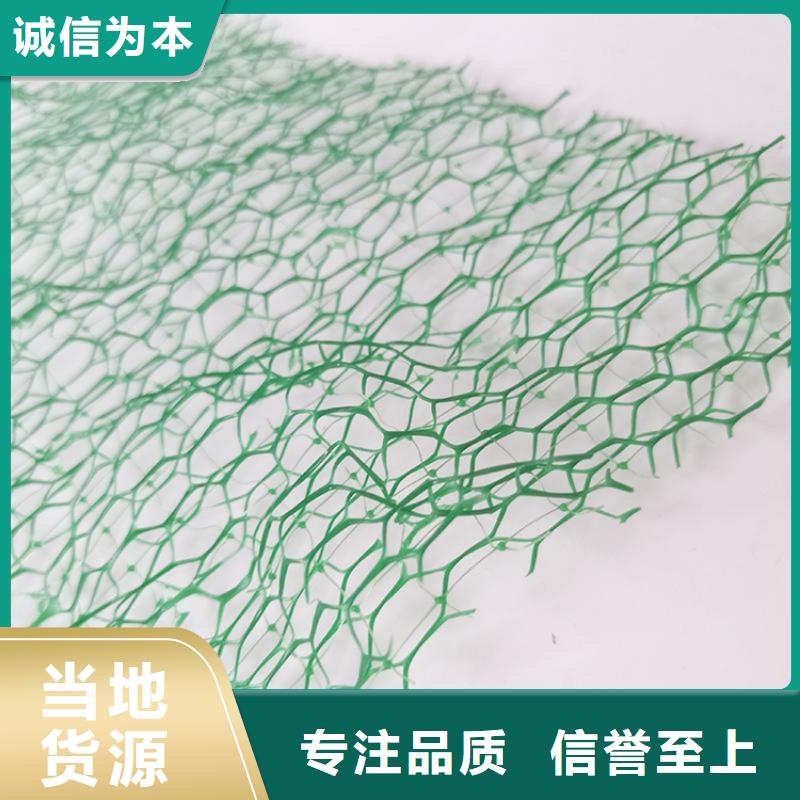 三维护坡加筋网垫#EM2固土
