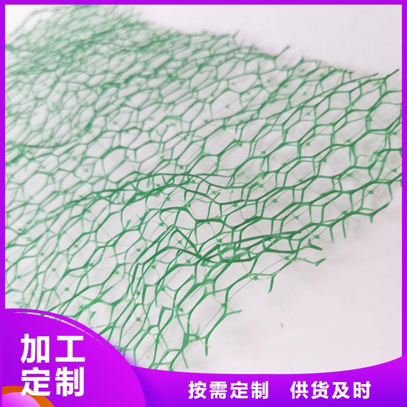 三维植被网抗裂贴优选厂家