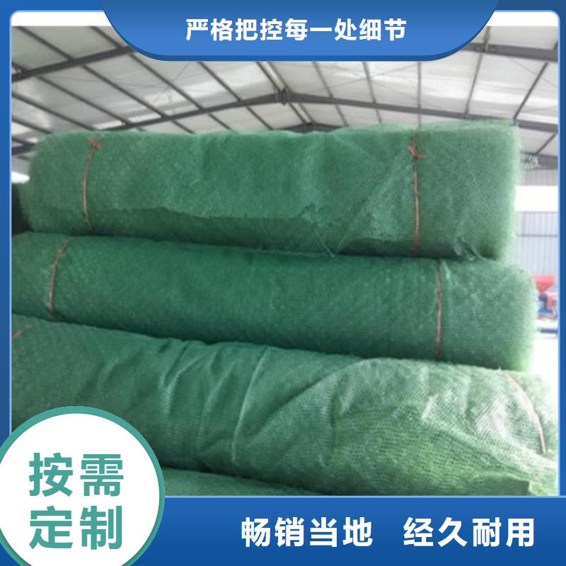 三维植被网型号特点