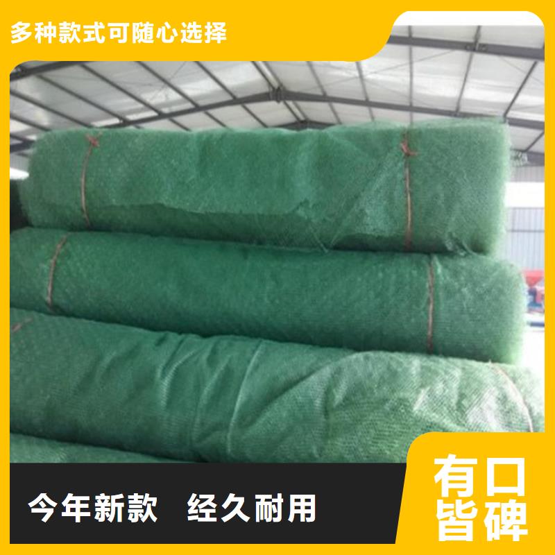 三维植被网蓄水板详细参数