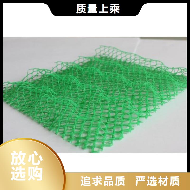 三维护坡植草网垫批发供应