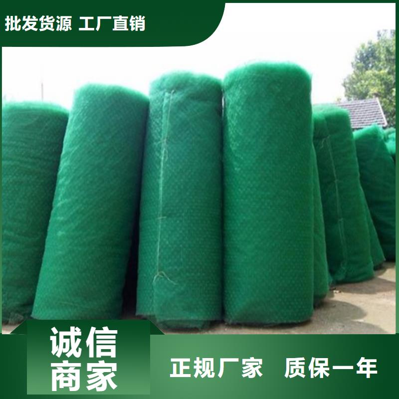 加筋塑料三维加筋土工网垫