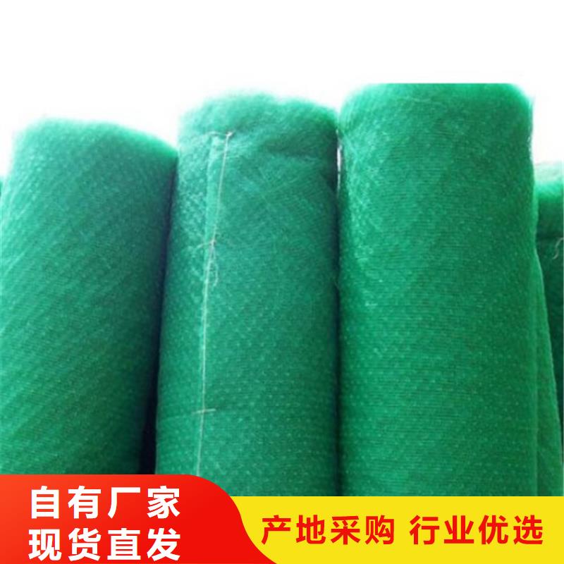 EM3边坡三维护坡加筋网垫