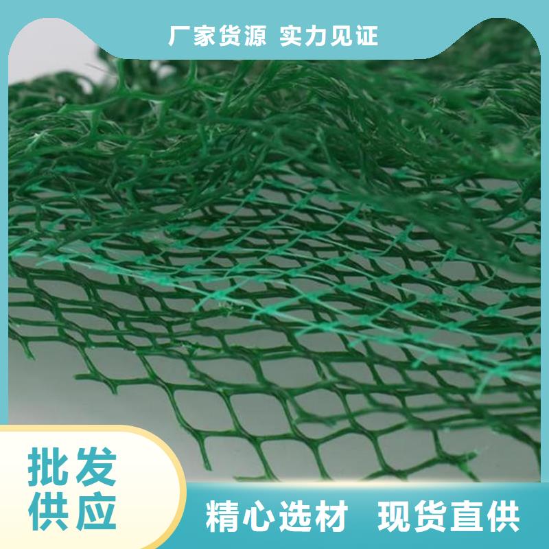 三维植草护坡网垫-EM3三维土工网垫资讯动态