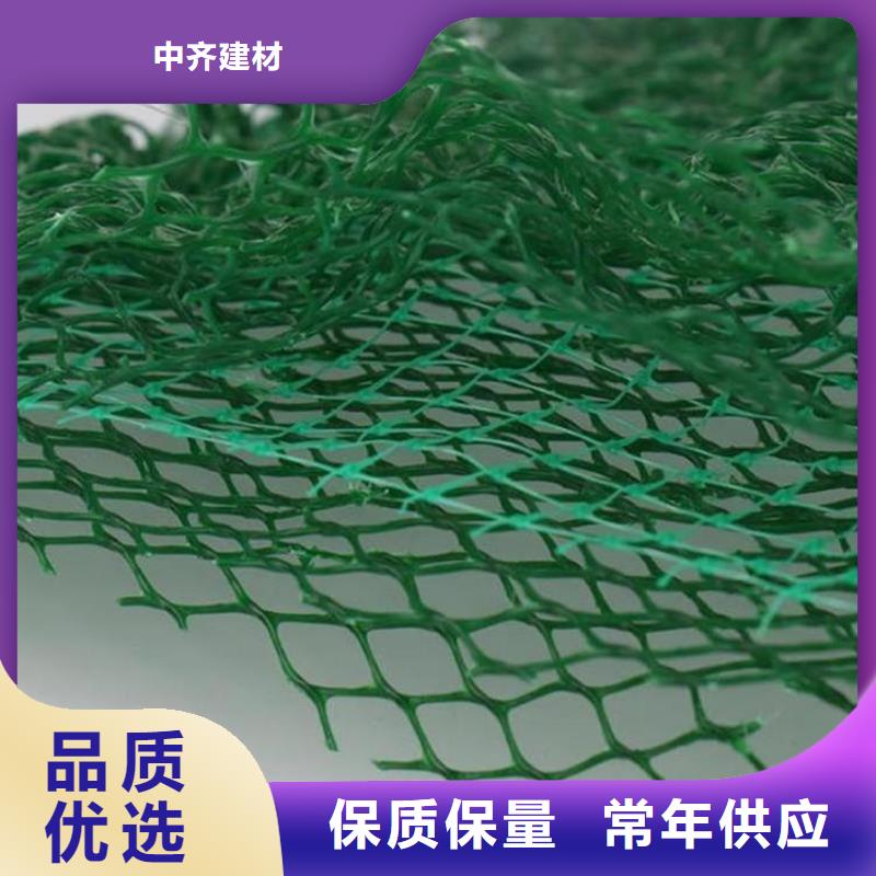加筋塑料三维加筋土工网垫
