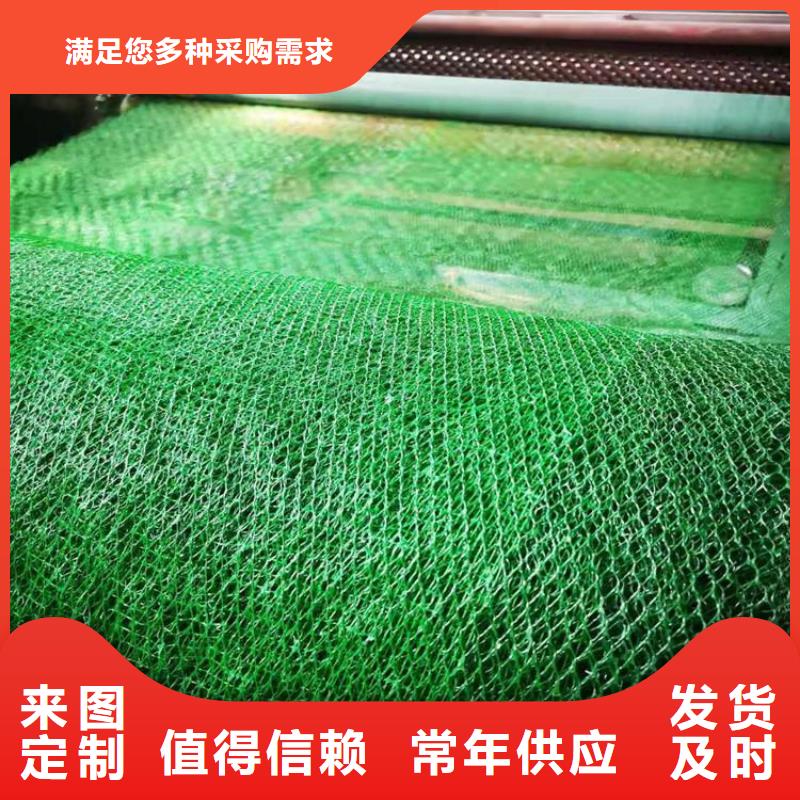 EM2草皮三维护坡加筋网垫