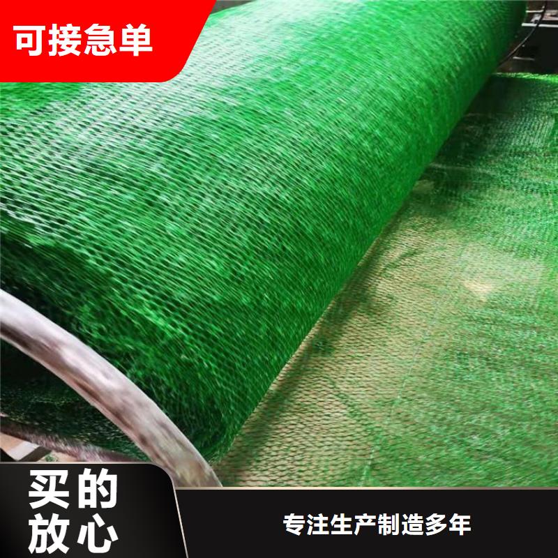 加筋塑料三维加筋土工网垫