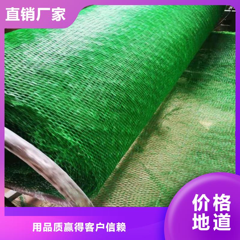 三维土工网垫#固土加筋