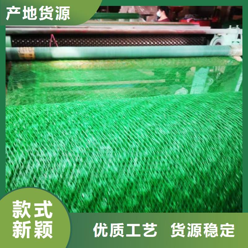 三维植草护坡网垫-EM4三维植被网特点拉力