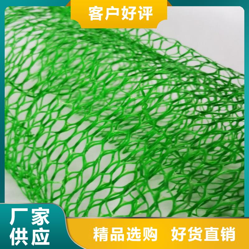 加筋护坡网垫#固土EM5