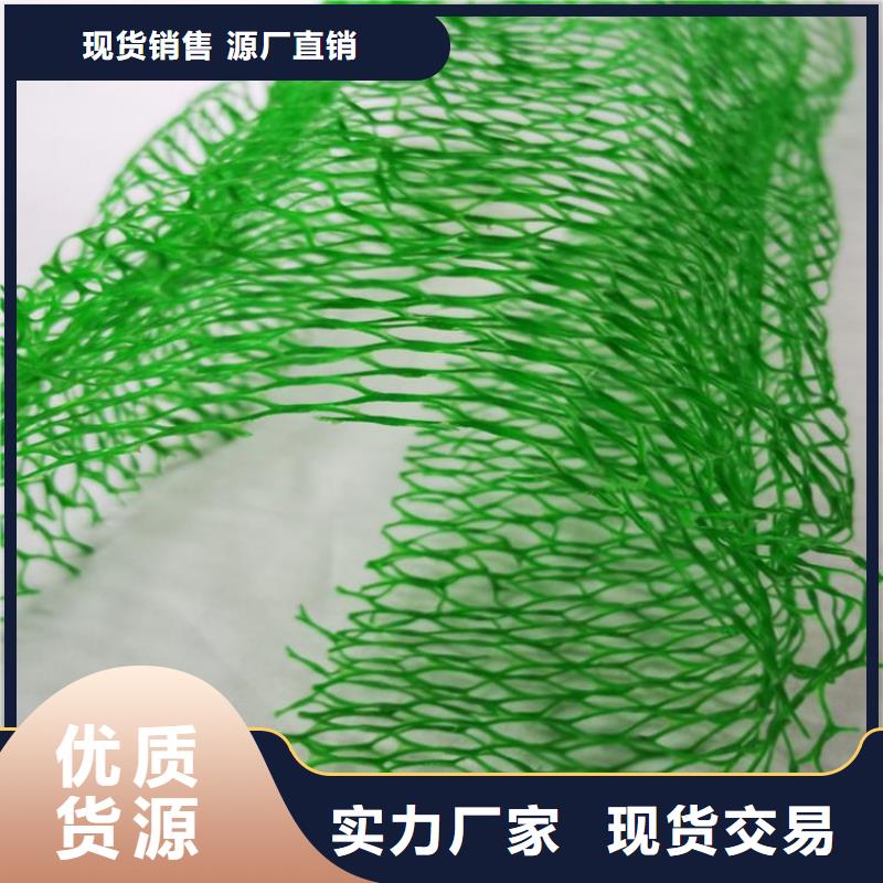 三维土工网垫#固土加筋