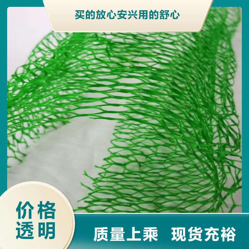 加筋塑料三维加筋土工网垫