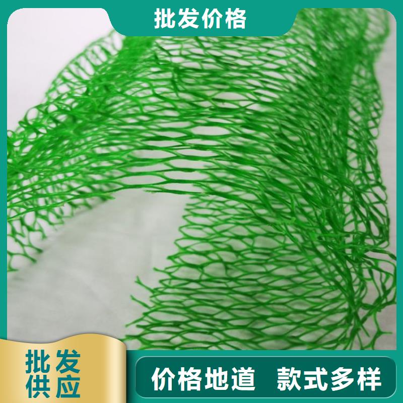 三维植被网防水板品牌大厂家