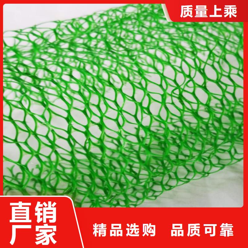 三维植被网土工布严格把控每一处细节