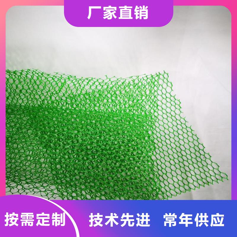 加筋护坡网垫#固土EM5