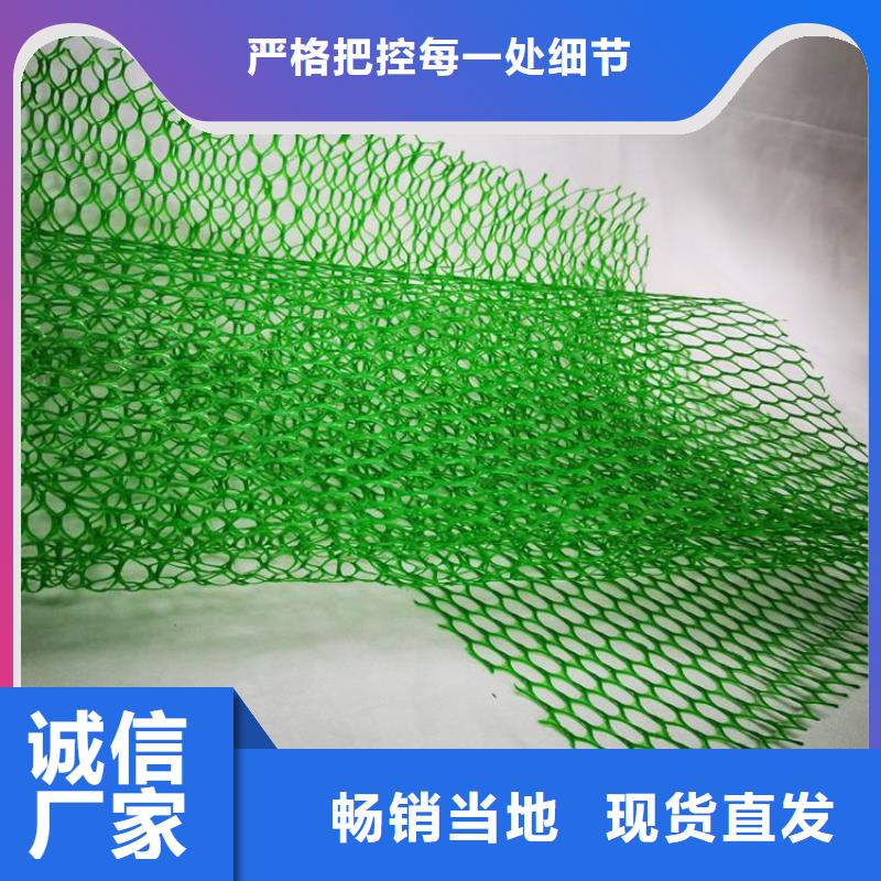 三维植被网聚酯玻纤布长期供应