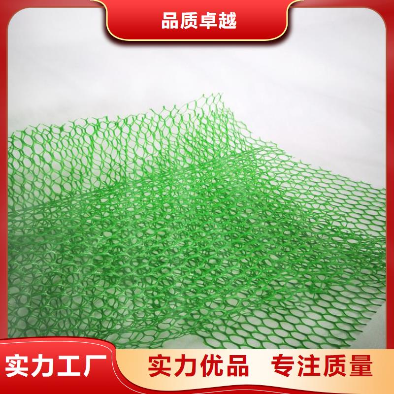 三维植被网特点厚度