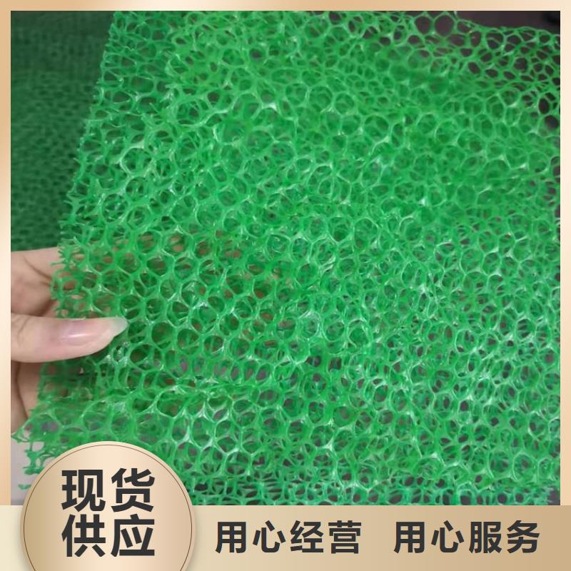 三维护坡植草网垫厂家价格