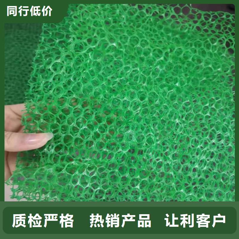 三维土工网垫-绿色三维植被网