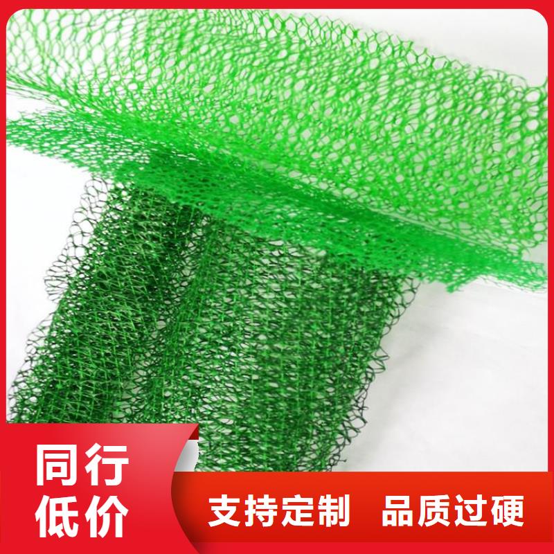 三维护坡植草网垫批发供应
