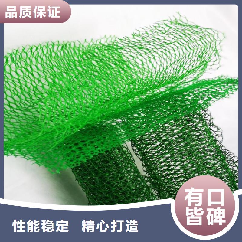 三维加筋土工网垫#固土塑料