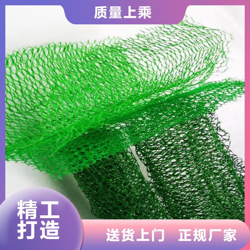 护坡加筋网垫-绿色三维植被网环保领域施工