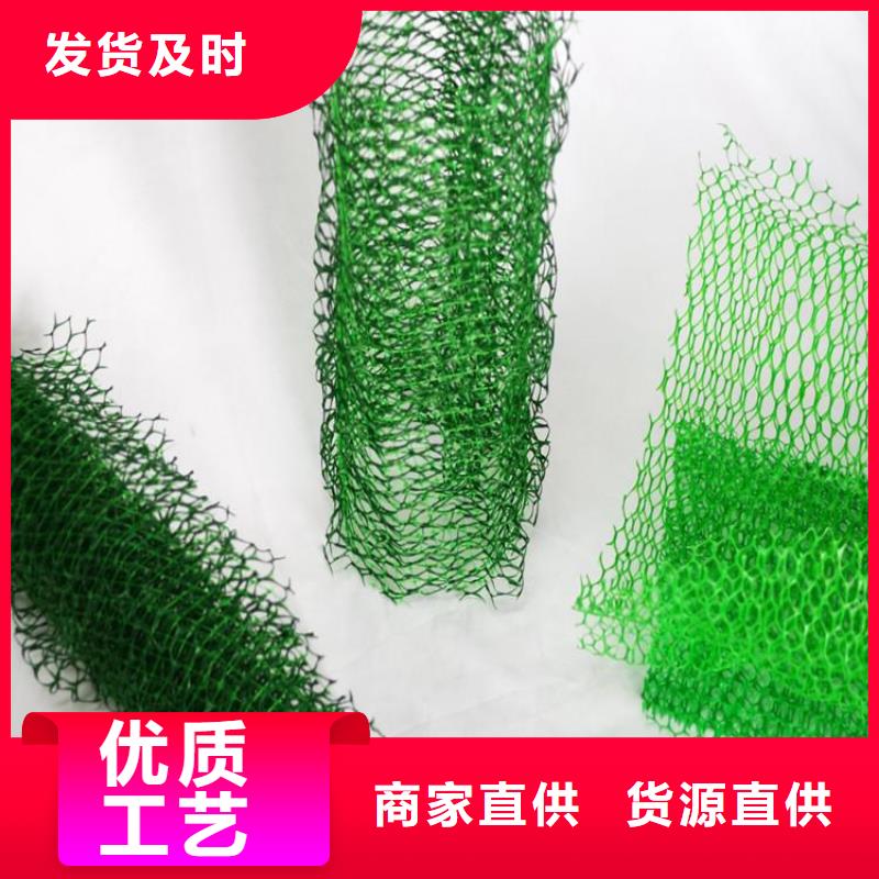 护坡加筋网垫-绿色三维植被网环保领域施工
