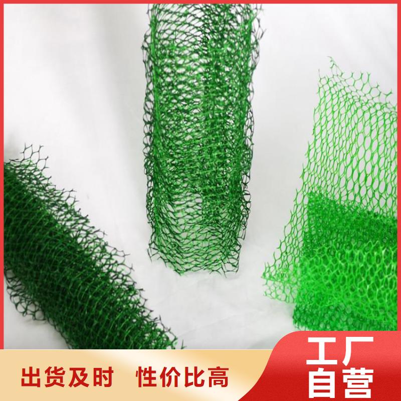 三维固土网垫#固土草皮