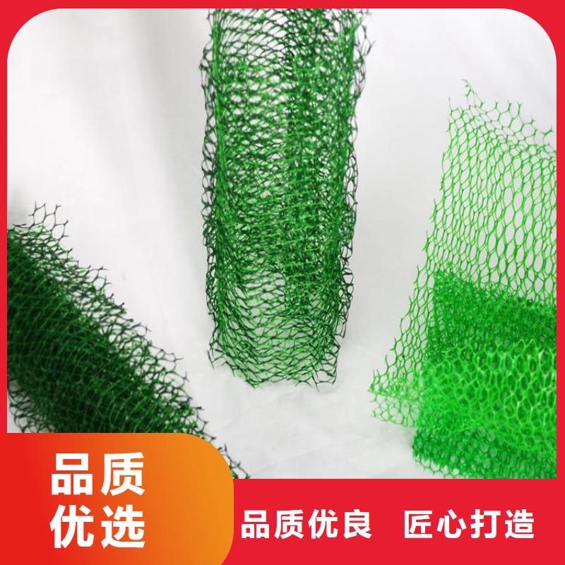 三维植草护坡网垫-EM4三维植被网特点拉力