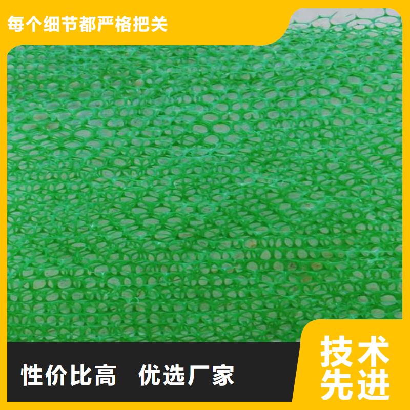 三维土工网垫-绿色三维植被网