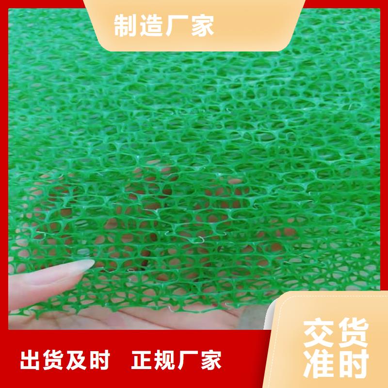 三维植被网HDPE土工膜重信誉厂家