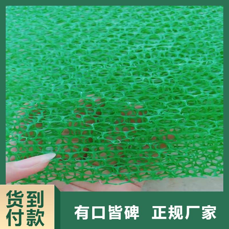 三维加筋土工网垫#环保塑料