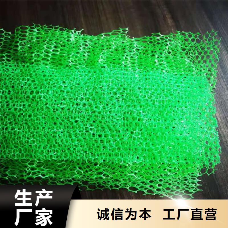 三维护坡植草网垫厂家价格