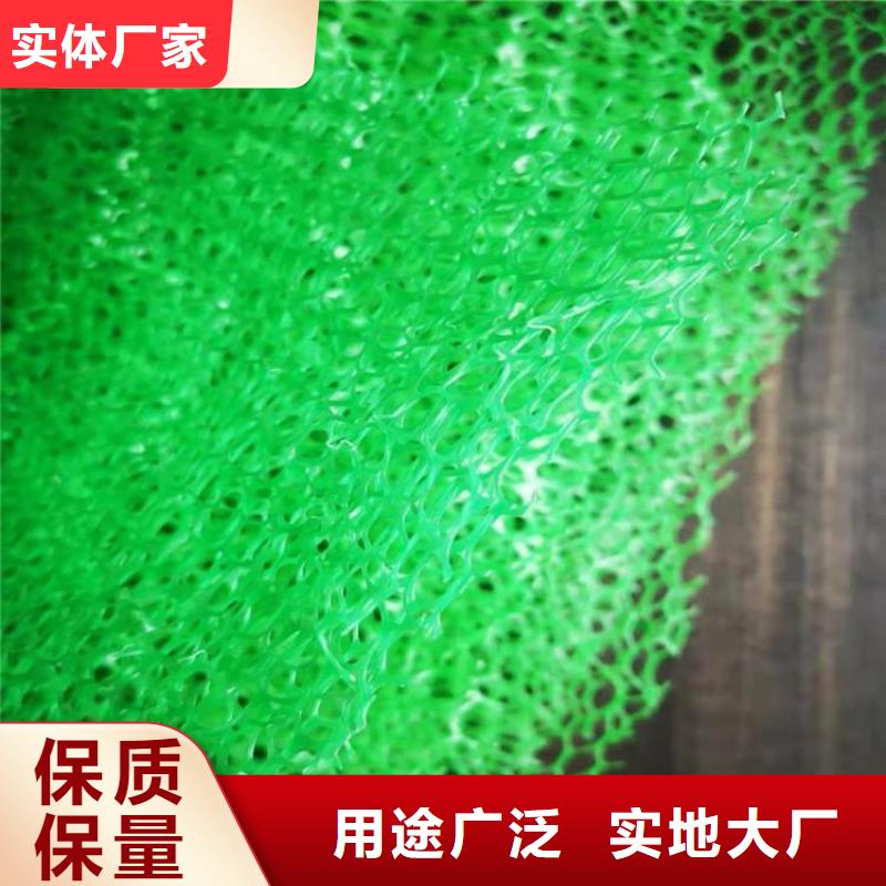 三维植被网本地代理