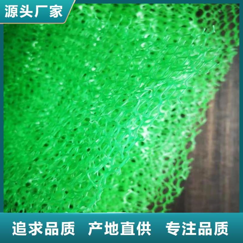 三维土工网垫代理/哪里有卖的