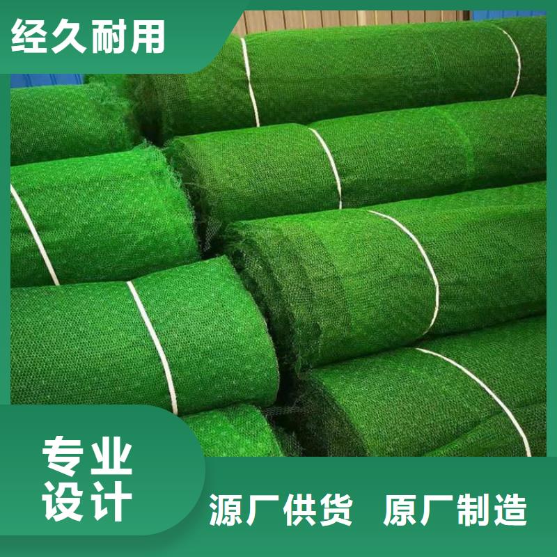 三维固土网垫-三维护坡网垫施工