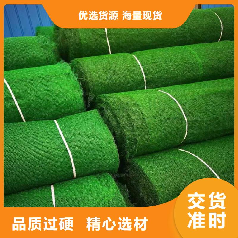三维植被网塑料土工格栅货源直销