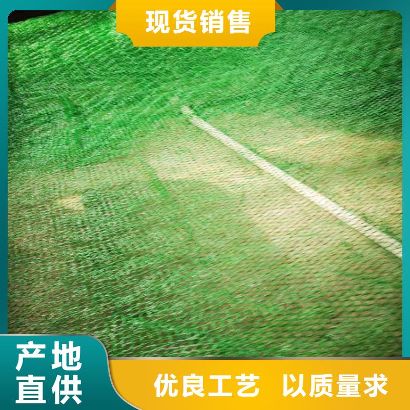三维植被网_钢塑土工格栅一站式采购商家