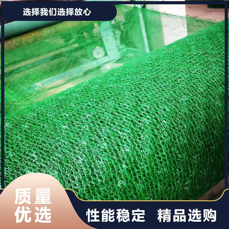 三维固土网垫#固土草皮