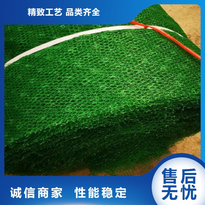 护坡加筋网垫-护坡三维土工网垫来厂考察
