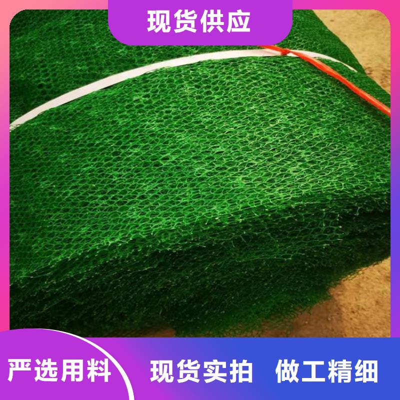 三维植被网