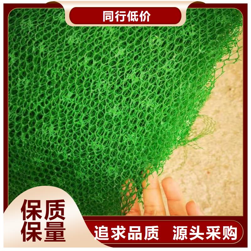 环保绿化三维植被网