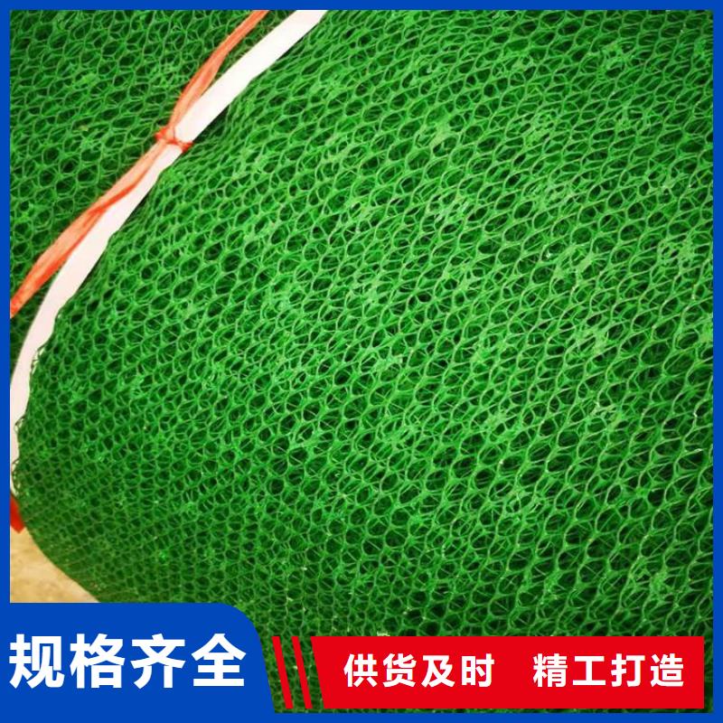 三维加筋植草网垫代理/哪里有卖的