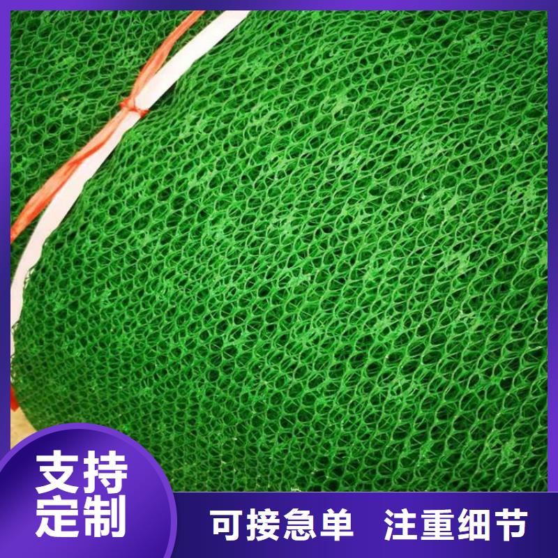 三维固土网垫#环保绿化